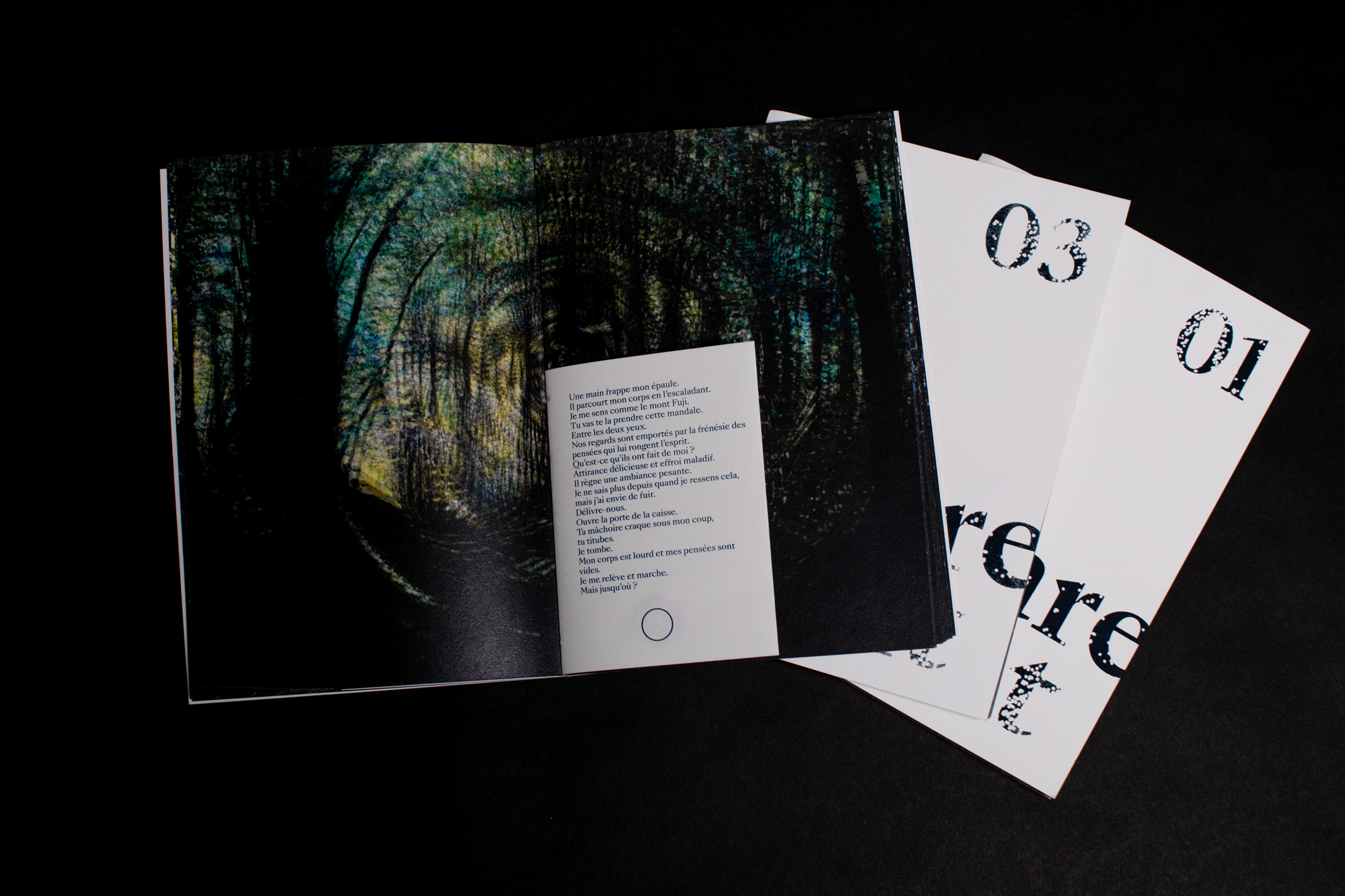 chloe huet sérigraphie édition dsaa boulogne