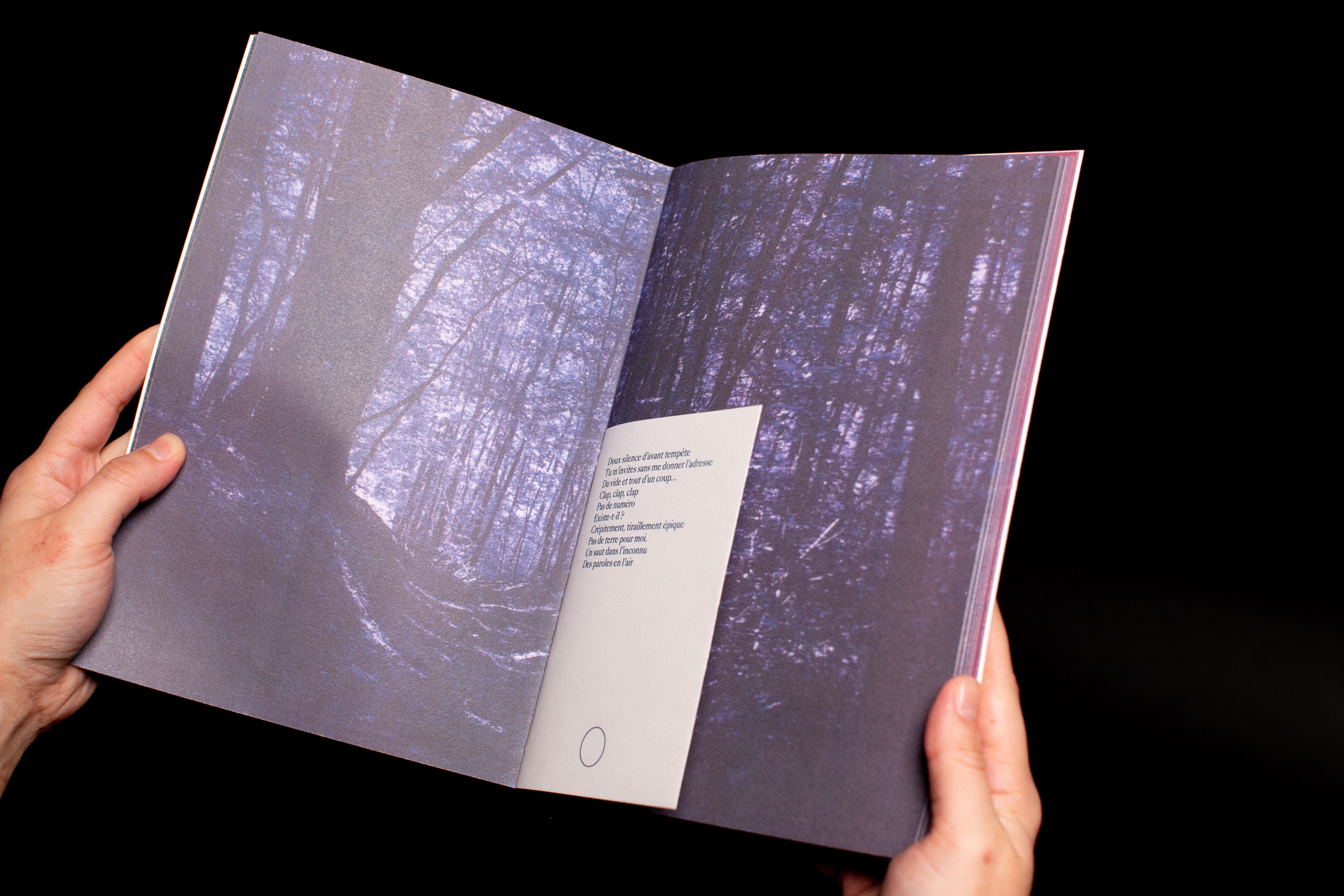 chloe huet sérigraphie édition dsaa boulogne